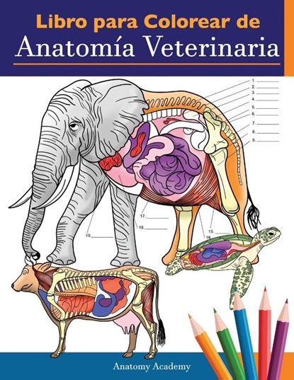 Libro para colorear de anatomia veterinaria, Anatomy Academy - Paperback - 9781838188641