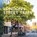 London's Street Trees, Paul Wood - Paperback - 9781838405182