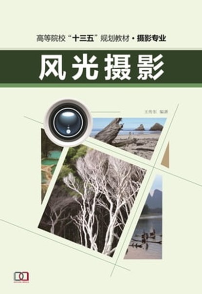 风光摄影, 王 传东 - Ebook - 9781838650599