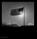 Robert Mapplethorpe, Patti Smith ; Andrew Sullivan - Gebonden - 9781838660208