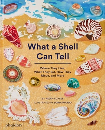 What a Shell Can Tell, Helen Scales - Gebonden - 9781838664312