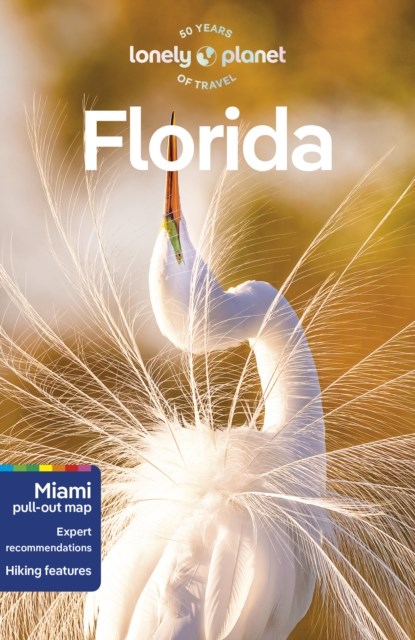 Lonely Planet Florida, LONELY PLANET ; HAM,  Anthony ; Davenport, Fionn ; Karlin, Adam - Paperback - 9781838697785