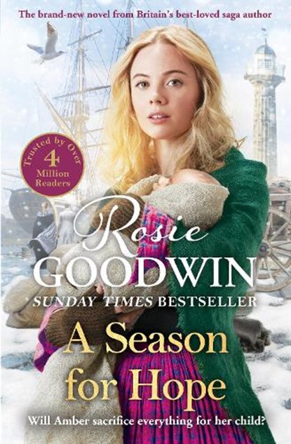 A Season for Hope, Rosie Goodwin - Gebonden - 9781838773595