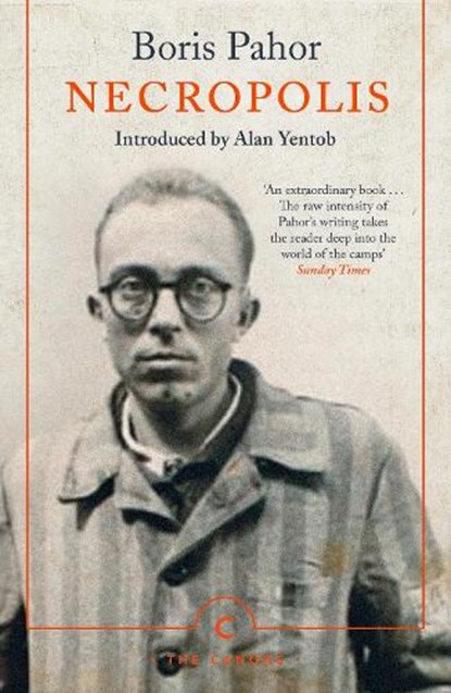 Necropolis, Boris Pahor - Paperback - 9781838852290