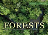 Forests - Kieron Connolly - 9781838861674
