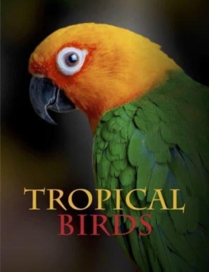 Tropical Birds, Tom Jackson - Gebonden - 9781838861964