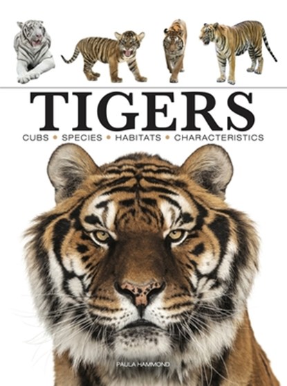 Tigers, Paula Hammond - Paperback - 9781838862602