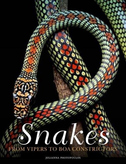 Snakes, Julianna Photopoulos - Gebonden - 9781838862848