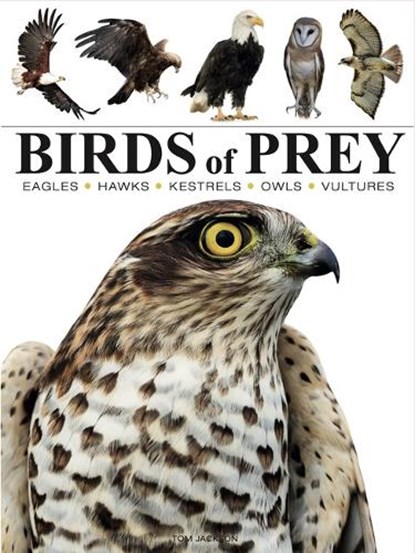 Birds of Prey, Tom Jackson - Paperback - 9781838863555