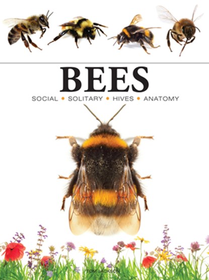 Bees, Tom Jackson - Paperback - 9781838863579