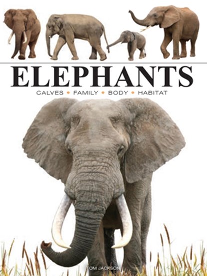 Elephants, Tom Jackson - Paperback - 9781838863593