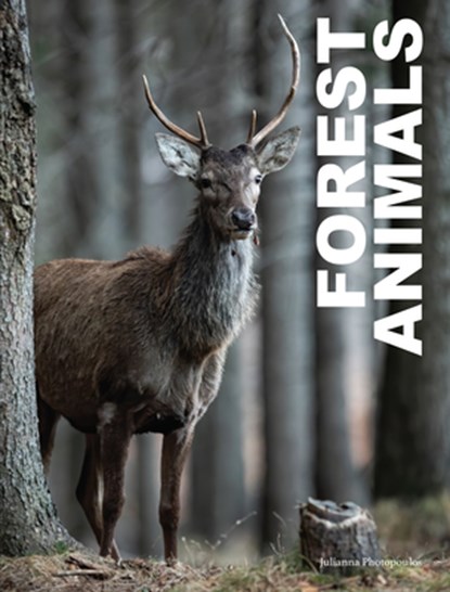 Forest Animals, Julianna Photopoulos - Gebonden - 9781838863654