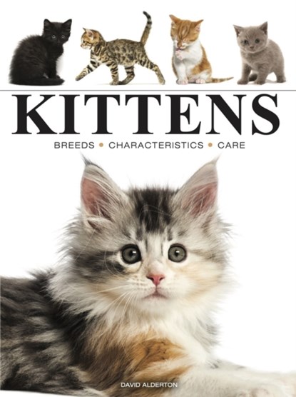 Kittens, David Alderton - Paperback - 9781838864415