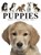 Puppies, Tom Jackson - Paperback - 9781838864422