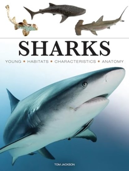 Sharks & Underwater Predators, Tom Jackson - Paperback - 9781838864439