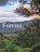 Forests, Kieron Connolly - Gebonden - 9781838865139