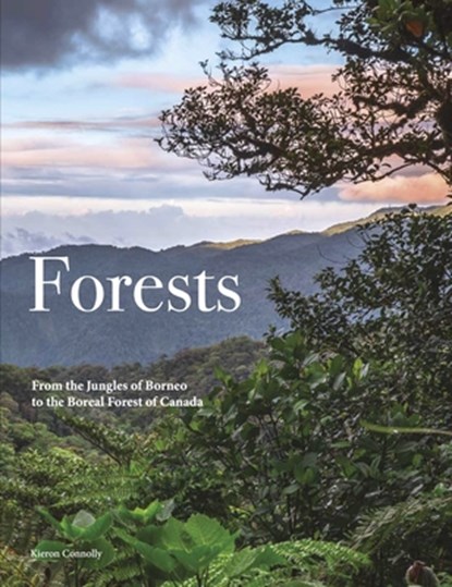 Forests, Kieron Connolly - Gebonden - 9781838865139
