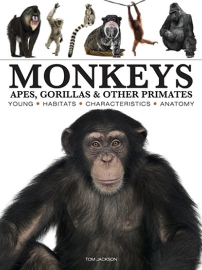 Monkeys, Tom Jackson - Paperback - 9781838866044