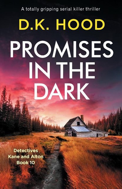 Promises in the Dark, D K Hood - Paperback - 9781838888534