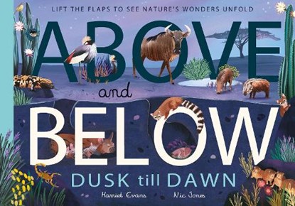 Above and Below: Dusk till Dawn, Harriet Evans - Gebonden - 9781838914028