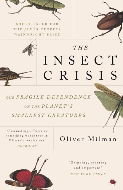 The Insect Crisis, Oliver Milman - Paperback - 9781838951191