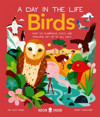 Birds (A Day in the Life), Alex Bond ; Neon Squid - Gebonden - 9781838992705