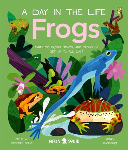 Frogs (A Day in the Life), Itzue W. Caviedes-Solis ; Neon Squid - Gebonden - 9781838992880