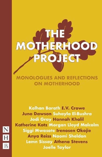 The Motherhood Project, E. V. Crowe - Paperback - 9781839040085