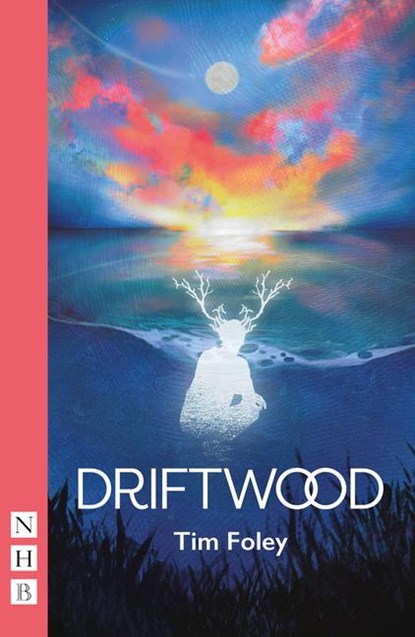 Driftwood, Tim Foley - Paperback - 9781839042942