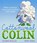 Cottonwool Colin, Jeanne Willis - Paperback - 9781839130021