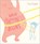 Where Happiness Begins, Eva Eland - Gebonden - 9781839133824