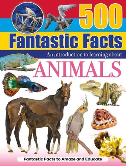 Animals, niet bekend - Gebonden - 9781839237867