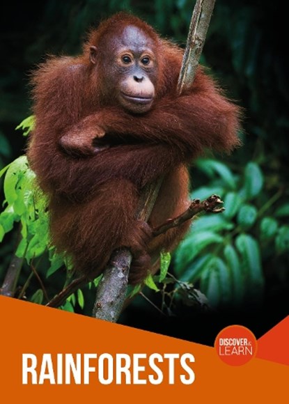 Rainforests, Joanna Brundle - Paperback - 9781839271465