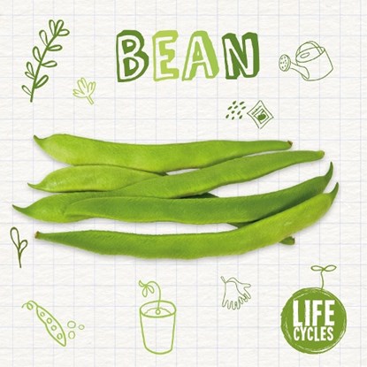 Bean, Kirsty Holmes - Paperback - 9781839271564