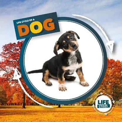 Life Cycle of a Dog, Kirsty Holmes - Gebonden - 9781839274749