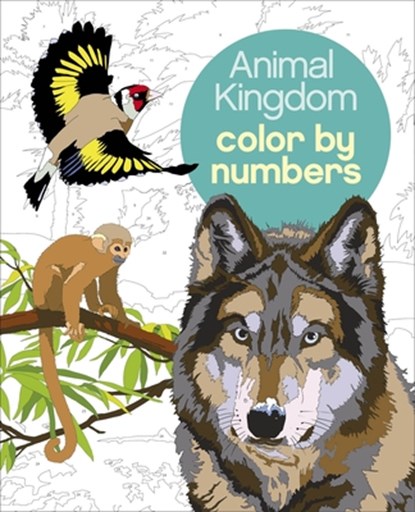 ANIMAL KINGDOM COLOR BY NUMBER, Martin Sanders ; Arpad Olbey - Paperback - 9781839407338