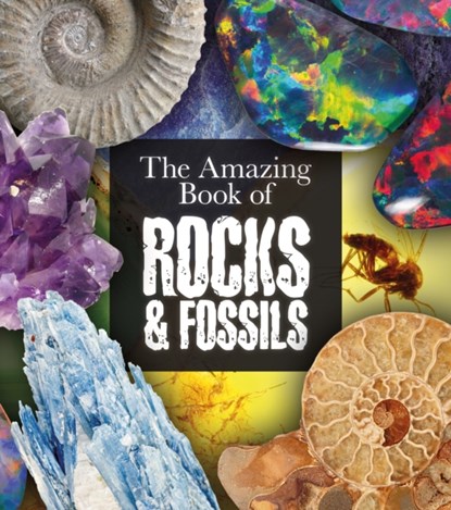 The Amazing Book of Rocks and Fossils, Claudia Martin - Paperback - 9781839408113