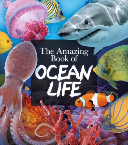 The Amazing Book of Ocean Life, Claudia Martin - Paperback - 9781839408137
