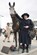 Starting From Scratch, Henrietta Knight - Gebonden - 9781839500305