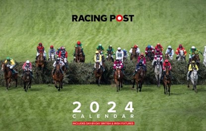 Racing Post Desk Calendar 2025, David Dew - Paperback - 9781839501555