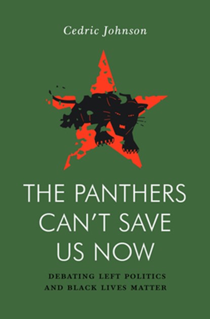 The Panthers Can't Save Us Now, Cedric G. Johnson - Paperback - 9781839766305