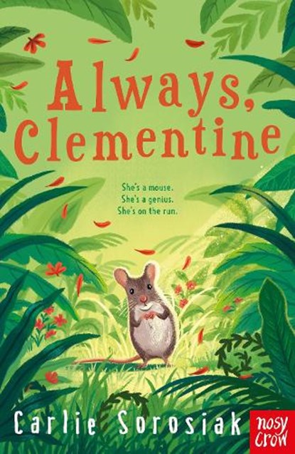 Always, Clementine, Carlie Sorosiak - Paperback - 9781839941085