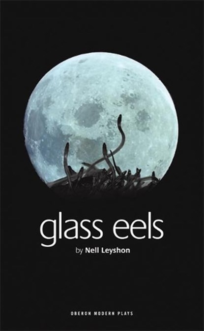 Glass Eels, Nell (Author) Leyshon - Paperback - 9781840027532