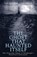The Ghost That Haunted Itself, Jan-Andrew Henderson - Paperback - 9781840184822