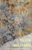 The Yellow Wallpaper, David Stuart Davies - Paperback - 9781840224078