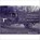Old Wishaw, Rhona Wilson - Paperback - 9781840330021