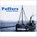 Puffers, Guthrie Hutton - Paperback - 9781840334142