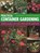 Practical Container Gardening, Stephanie Donaldson - Paperback - 9781840382624