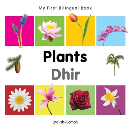 My First Bilingual Book - Plants - English-somali, Milet - Gebonden - 9781840598858