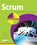 Scrum in Easy Steps:, David Morris - Paperback - 9781840787313